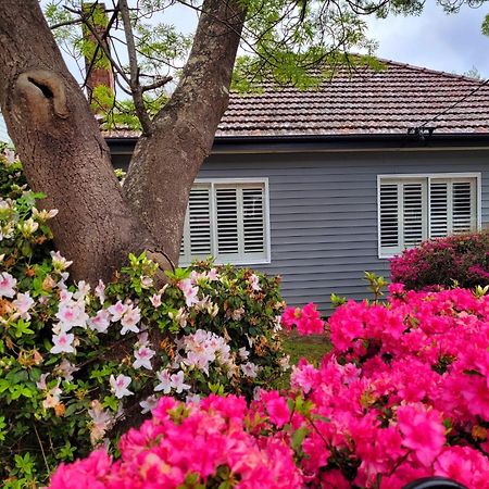 La Villette Sleeps 9 Fireplace Bbq Pet Friendly Katoomba Exterior foto